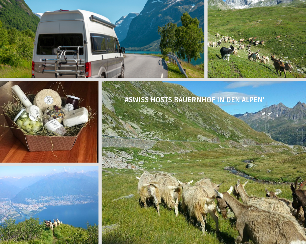 Wohnmobil in die Schweizer Alpen