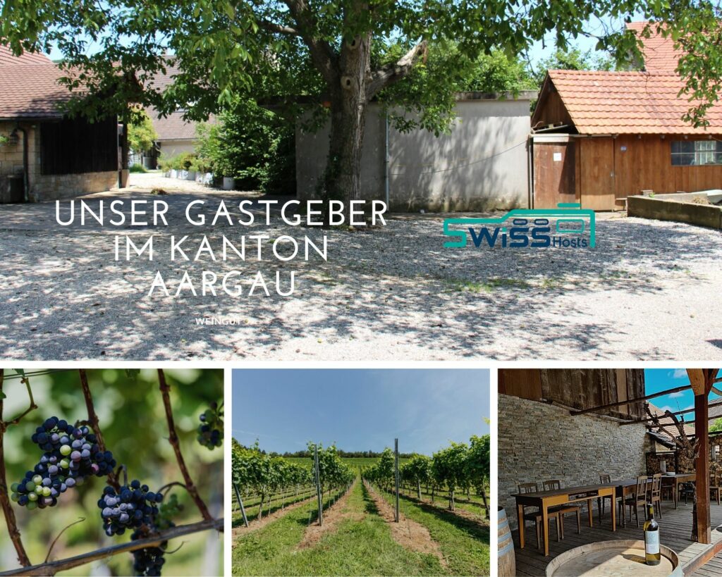 WEINGUT-5-1024x819