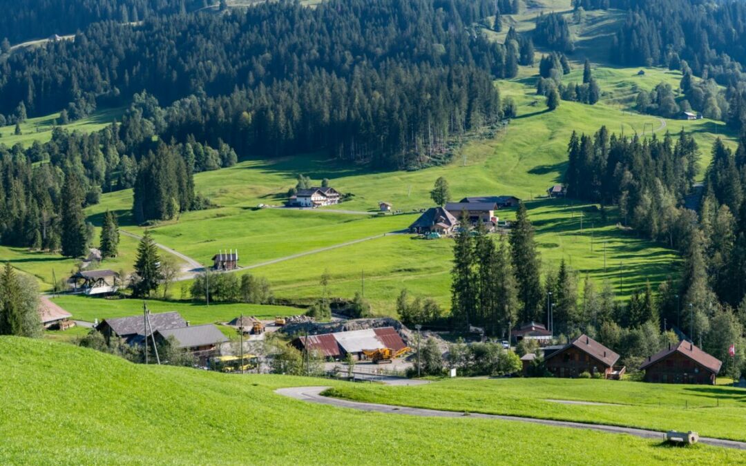 Restaurant Gasthof Schneehas