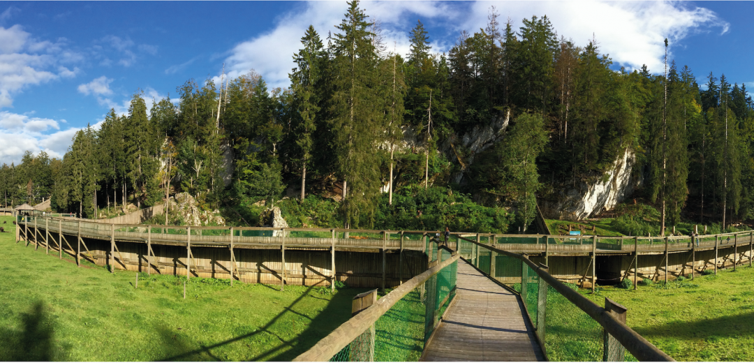Juraparc Zoo