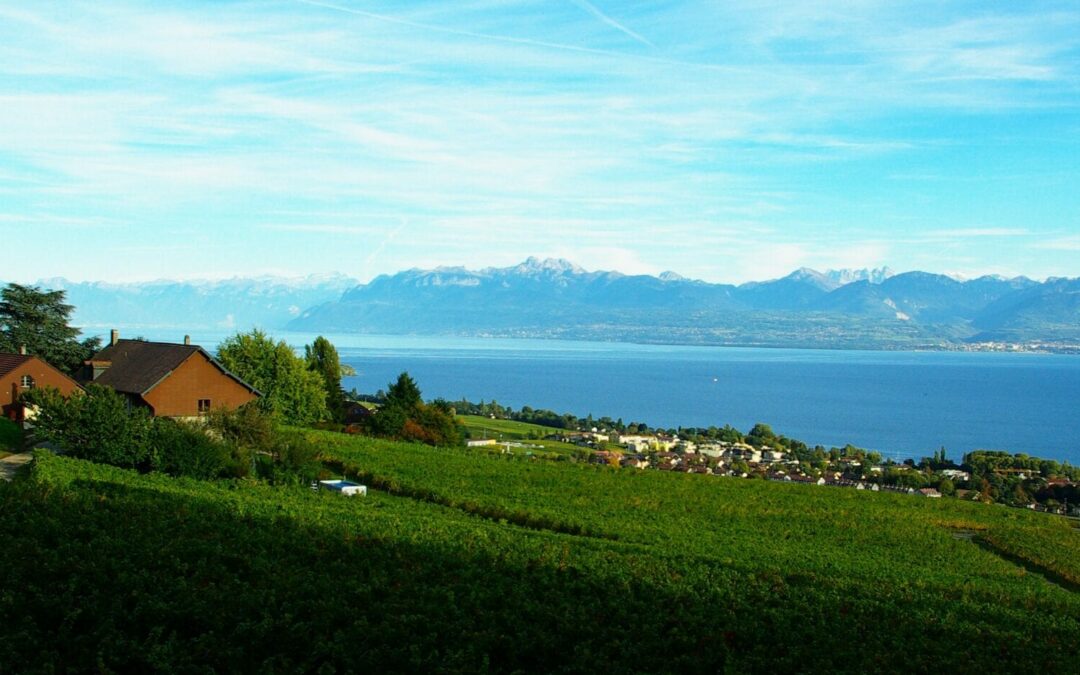 Domaine de Bellevue