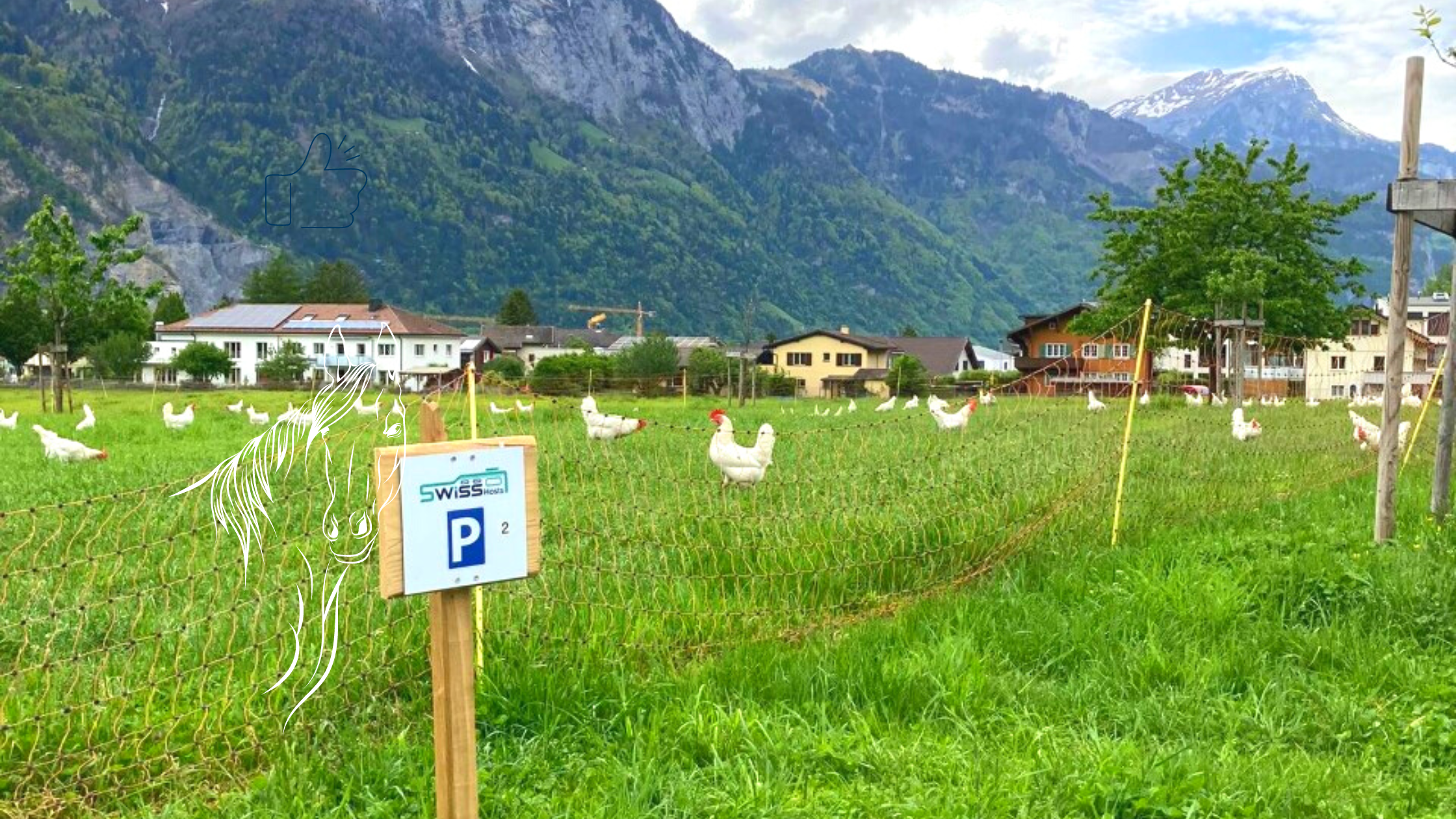 Newsletter (6)